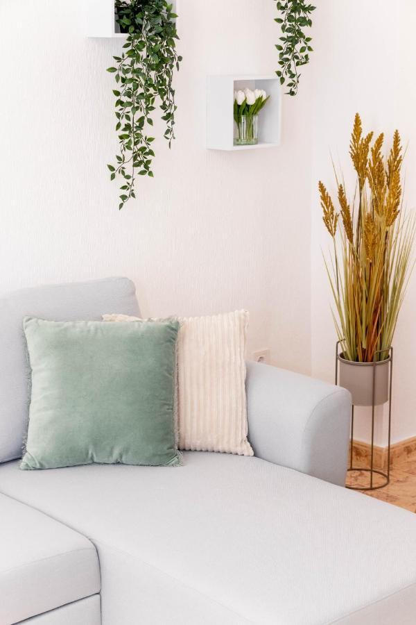 Piso En El Centro Apartment Torrevieja Ngoại thất bức ảnh